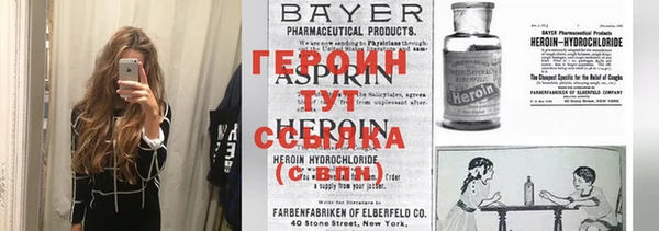 прущие грибы Медвежьегорск