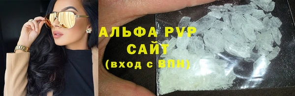 стаф Надым