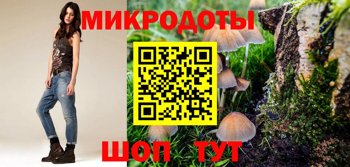 Галлюциногенные грибы Psilocybine cubensis  Вход с VPN  Канаш 